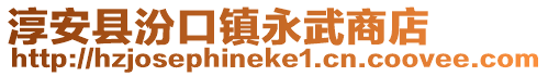 淳安縣汾口鎮(zhèn)永武商店