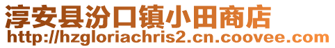 淳安縣汾口鎮小田商店