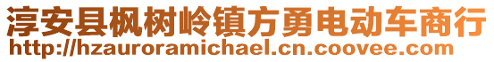 淳安縣楓樹(shù)嶺鎮(zhèn)方勇電動(dòng)車(chē)商行