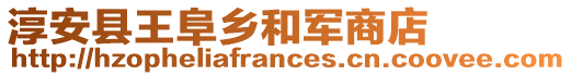 淳安縣王阜鄉(xiāng)和軍商店