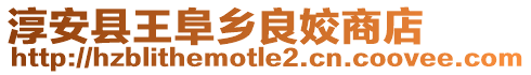 淳安縣王阜鄉良姣商店