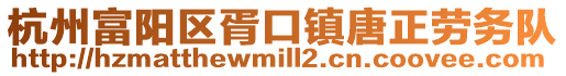 杭州富陽區胥口鎮唐正勞務隊