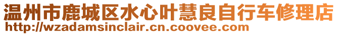 溫州市鹿城區(qū)水心葉慧良自行車修理店