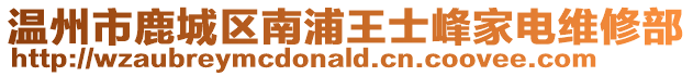 溫州市鹿城區南浦王士峰家電維修部