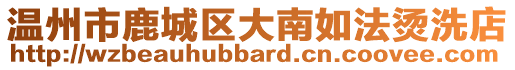 溫州市鹿城區(qū)大南如法燙洗店