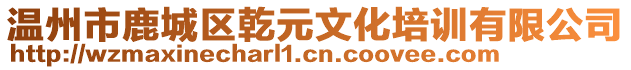 溫州市鹿城區(qū)乾元文化培訓(xùn)有限公司