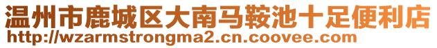 溫州市鹿城區(qū)大南馬鞍池十足便利店