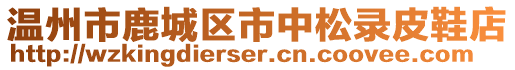 溫州市鹿城區(qū)市中松錄皮鞋店