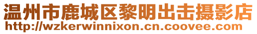 溫州市鹿城區(qū)黎明出擊攝影店