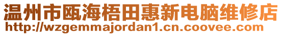 溫州市甌海梧田惠新電腦維修店