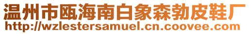 溫州市甌海南白象森勃皮鞋廠