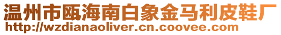 溫州市甌海南白象金馬利皮鞋廠