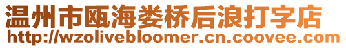 溫州市甌海婁橋后浪打字店
