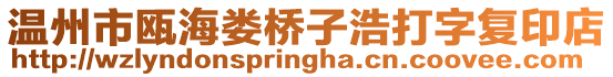 溫州市甌海婁橋子浩打字復印店