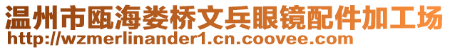 溫州市甌海婁橋文兵眼鏡配件加工場