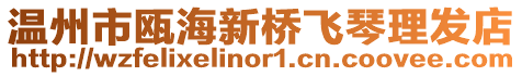 溫州市甌海新橋飛琴理發(fā)店