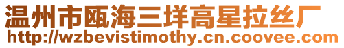 溫州市甌海三垟高星拉絲廠