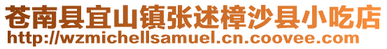蒼南縣宜山鎮(zhèn)張述樟沙縣小吃店