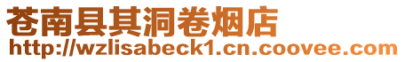 蒼南縣其洞卷煙店