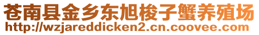 蒼南縣金鄉(xiāng)東旭梭子蟹養(yǎng)殖場