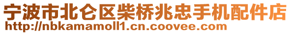 寧波市北侖區(qū)柴橋兆忠手機(jī)配件店