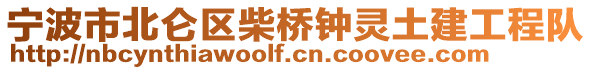 寧波市北侖區(qū)柴橋鐘靈土建工程隊(duì)