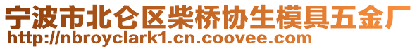 寧波市北侖區(qū)柴橋協(xié)生模具五金廠