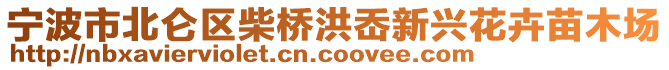 寧波市北侖區(qū)柴橋洪岙新興花卉苗木場(chǎng)