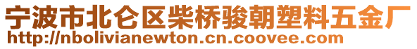 寧波市北侖區(qū)柴橋駿朝塑料五金廠