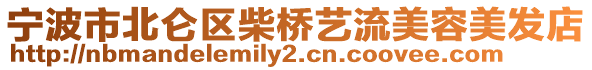 寧波市北侖區(qū)柴橋藝流美容美發(fā)店