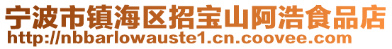 寧波市鎮(zhèn)海區(qū)招寶山阿浩食品店