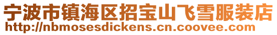 寧波市鎮海區招寶山飛雪服裝店