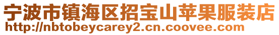 寧波市鎮海區招寶山蘋果服裝店