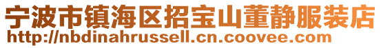 寧波市鎮海區招寶山董靜服裝店