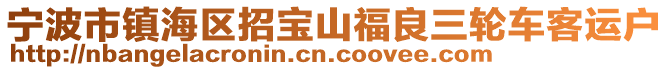 寧波市鎮(zhèn)海區(qū)招寶山福良三輪車客運(yùn)戶