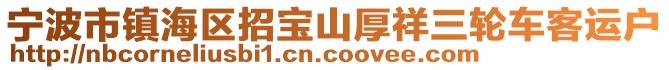 寧波市鎮(zhèn)海區(qū)招寶山厚祥三輪車客運戶