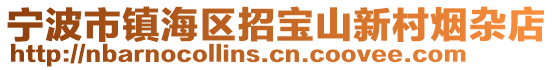 寧波市鎮海區招寶山新村煙雜店