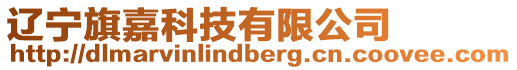 遼寧旗嘉科技有限公司