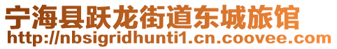 寧?？h躍龍街道東城旅館