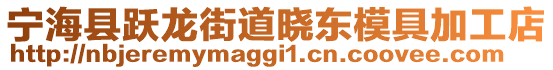 寧?？h躍龍街道曉東模具加工店