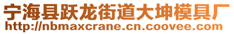 寧?？h躍龍街道大坤模具廠