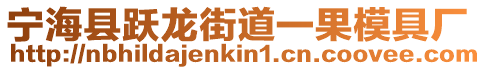 寧海縣躍龍街道一果模具廠(chǎng)
