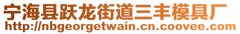 寧?？h躍龍街道三豐模具廠