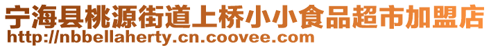 寧?？h桃源街道上橋小小食品超市加盟店