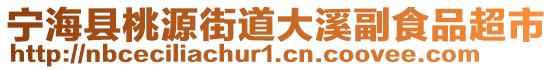 寧?？h桃源街道大溪副食品超市