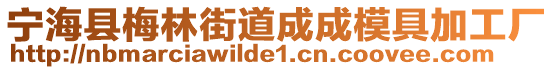 寧?？h梅林街道成成模具加工廠