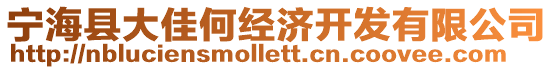 寧海縣大佳何經濟開發有限公司