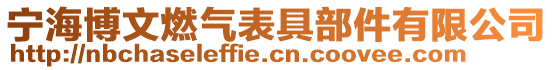寧海博文燃氣表具部件有限公司