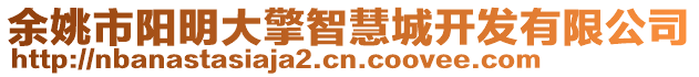 余姚市陽(yáng)明大擎智慧城開發(fā)有限公司