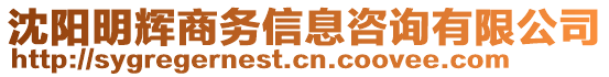 沈陽明輝商務(wù)信息咨詢有限公司